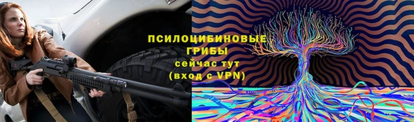 сатива Семикаракорск