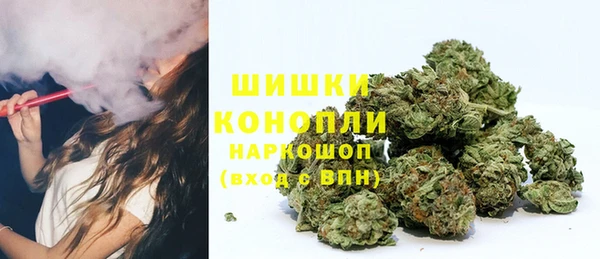 сатива Семикаракорск