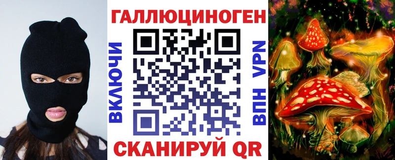 Купить где  Карабаш  Псилоцибиновые грибы GOLDEN TEACHER 